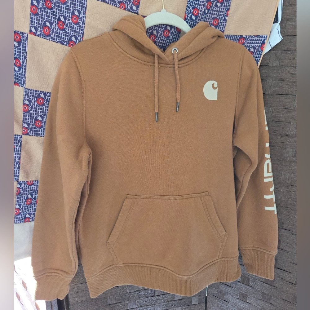 Carhartt Men's Brown Hoodie
